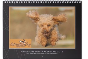Calendari di Pet Photography