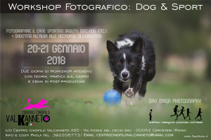 Workshop DOG & SPORT – by Dan Masa Photography
